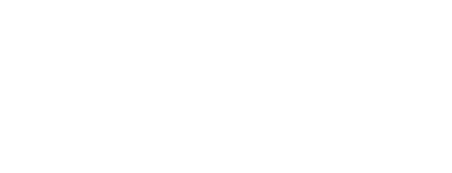 Brooklyn Spine Center whithout background Logo