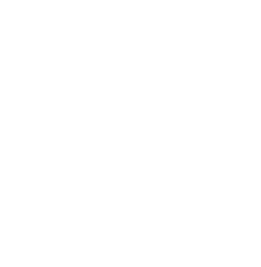 Brooklyn Spine Center white logo