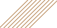 Six parallel diagonal beige lines on a white background, running from bottom-left to top-right.